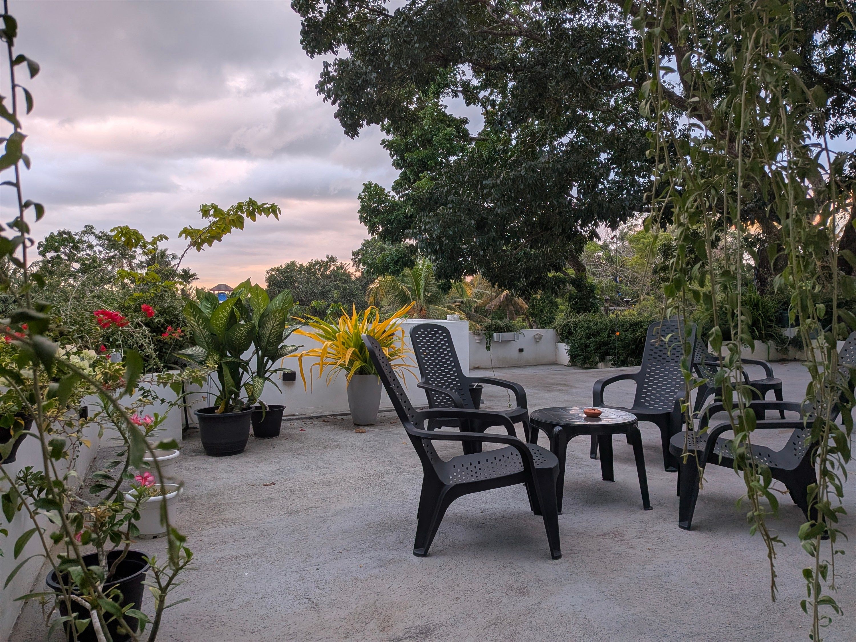 Un espace extérieur aménagé avec des chaises et une table en plastique noir, entouré de plantes en pot et d’arbres.