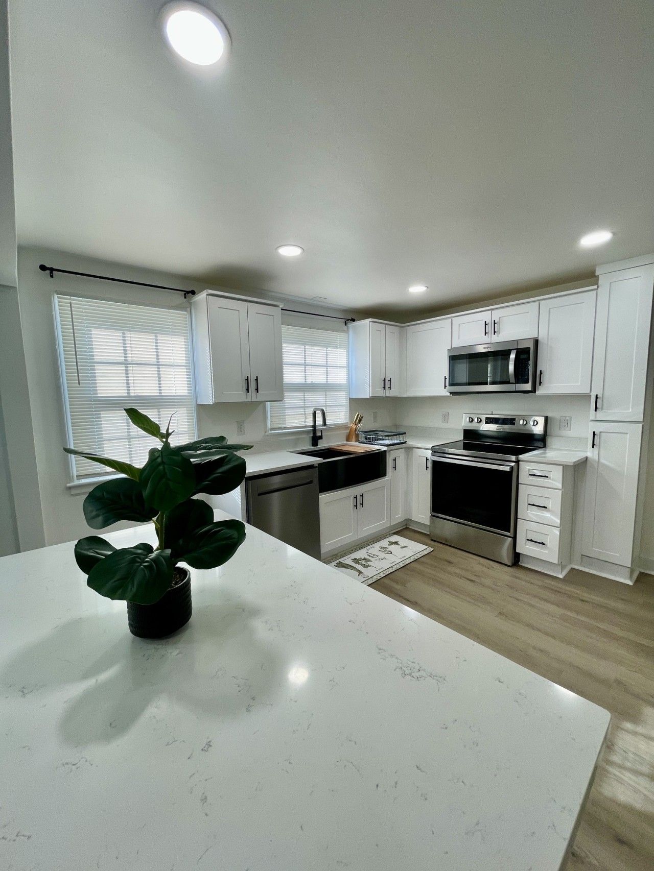 A modern kitchen with white cabinets, stainless steel appliances, and a central island with a potted plant.