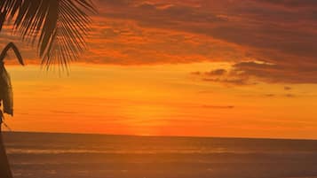 Un atardecer sobre el océano con la silueta de una palmera.