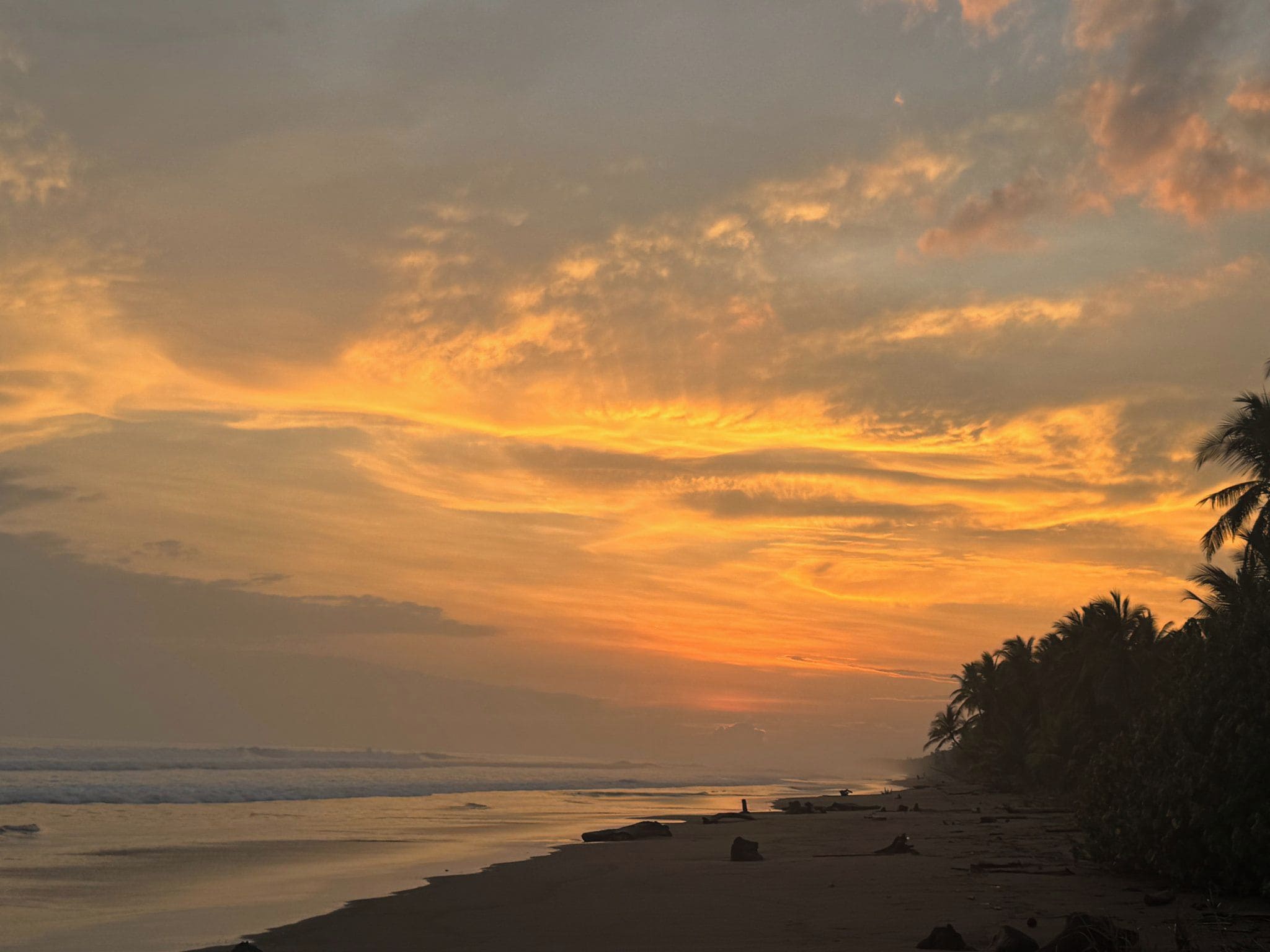 Una playa con atardecer, palmeras y rocas.