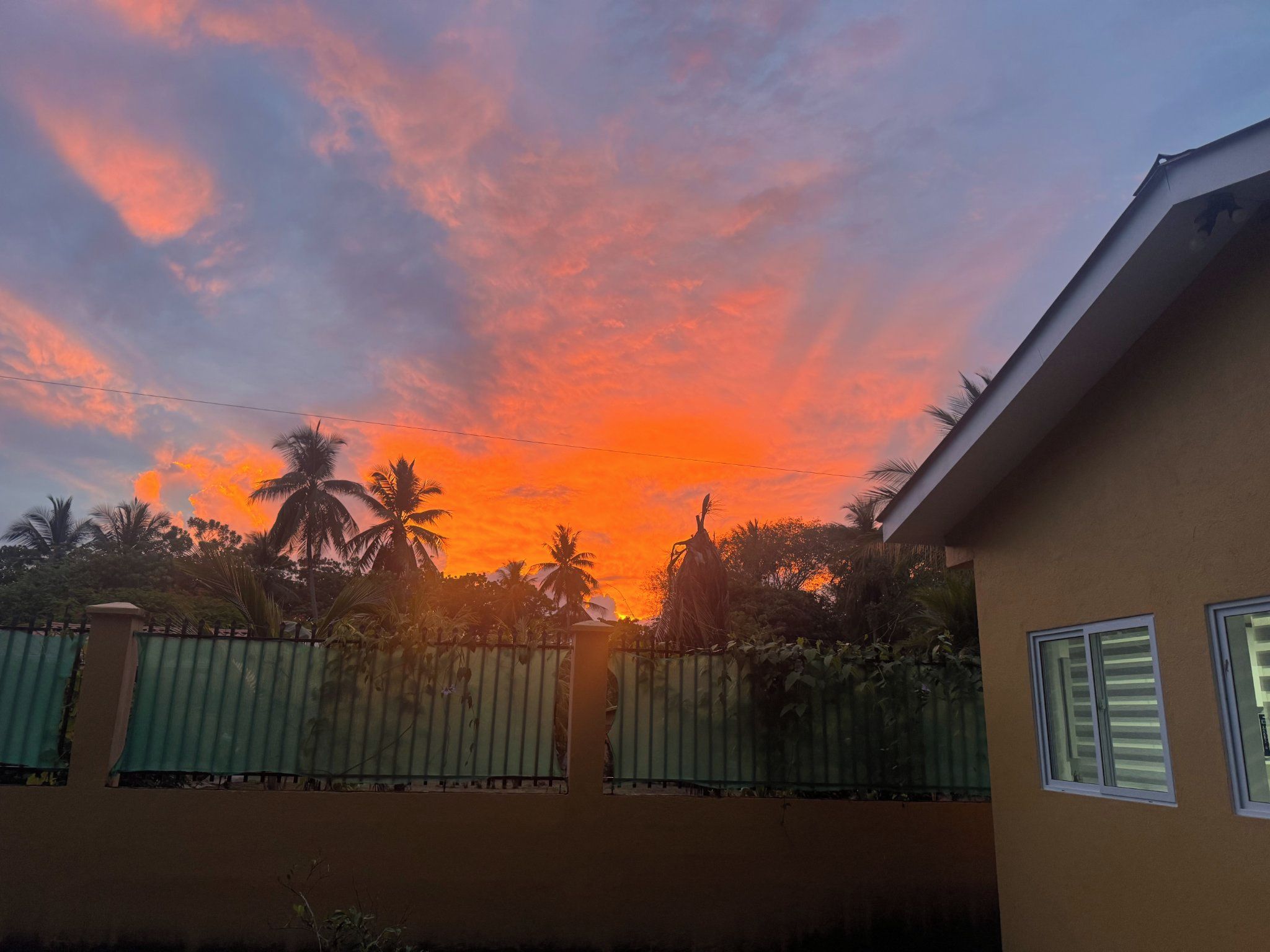 Pôr do sol com céu limpo, palmeiras e um edifício com portão.