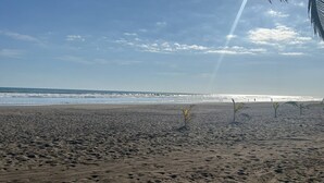 Ein sandiger Strand mit Fußabdrücken und kleinen Palmen.