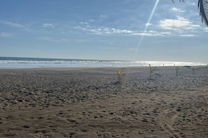 Una spiaggia sabbiosa con impronte e piccole palme.
