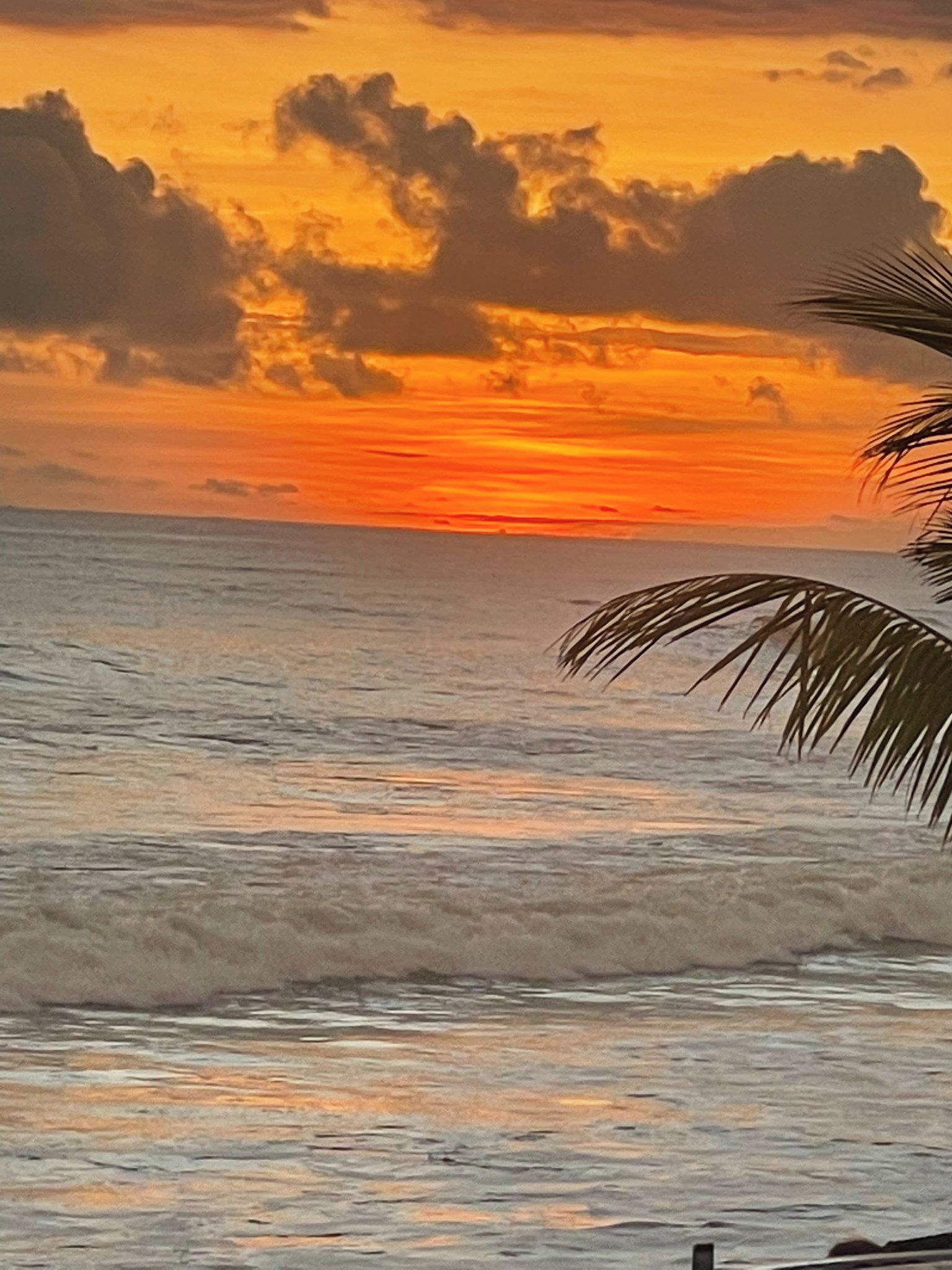 Een zonsondergang boven de oceaan, met golven en een palmpijlstaart.