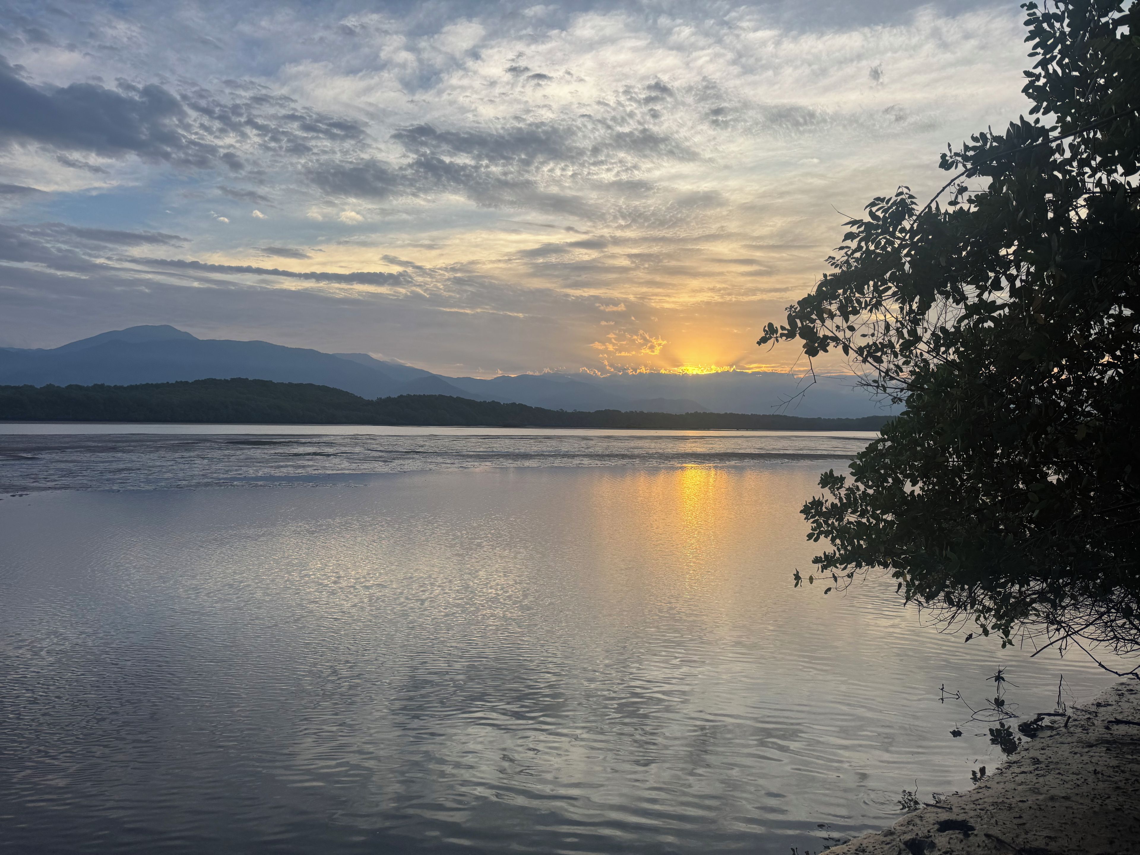 Un lago tranquilo con montañas a lo lejos y un árbol a la derecha.