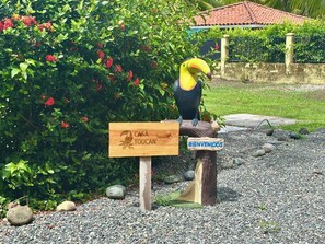 Eine Skulptur eines Tukan auf einem Holzpfosten, mit einem Schild, das 'Casa Toucan' und 'Bienvenidos' zur Begrüßung der Besucher zeigt.