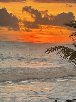 Ein Sonnenuntergang über dem Meer mit Wellen und einer Palme.