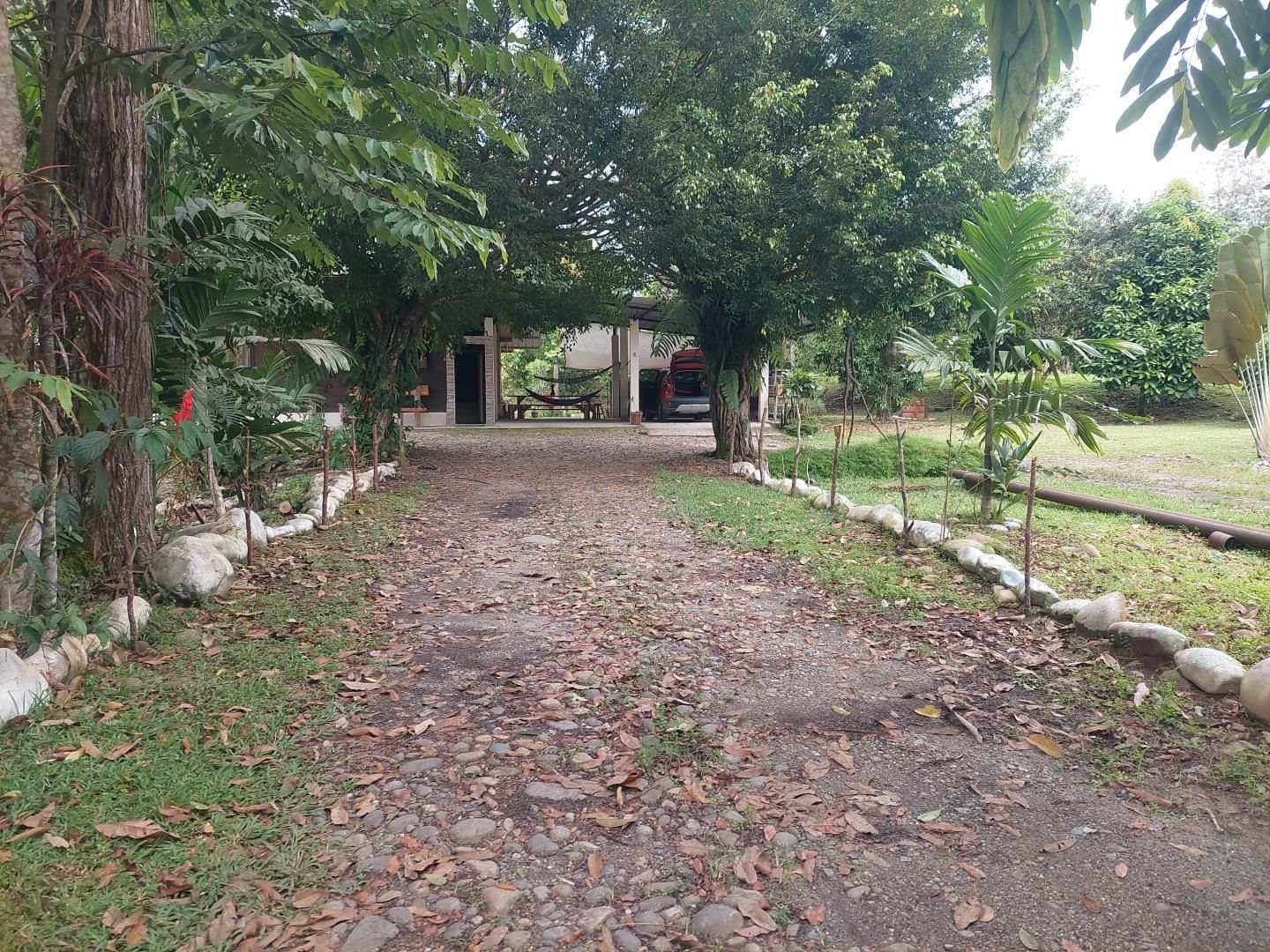 Un chemin menant à un bâtiment doté d’un espace de repos abrité et d’un hamac.