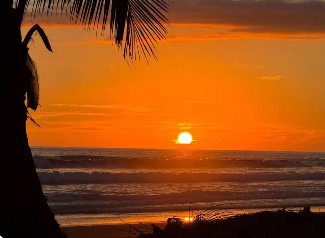 Un coucher de soleil sur l’océan, avec la silhouette d’un palmier.