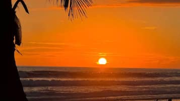 Un coucher de soleil sur l’océan, avec la silhouette d’un palmier.