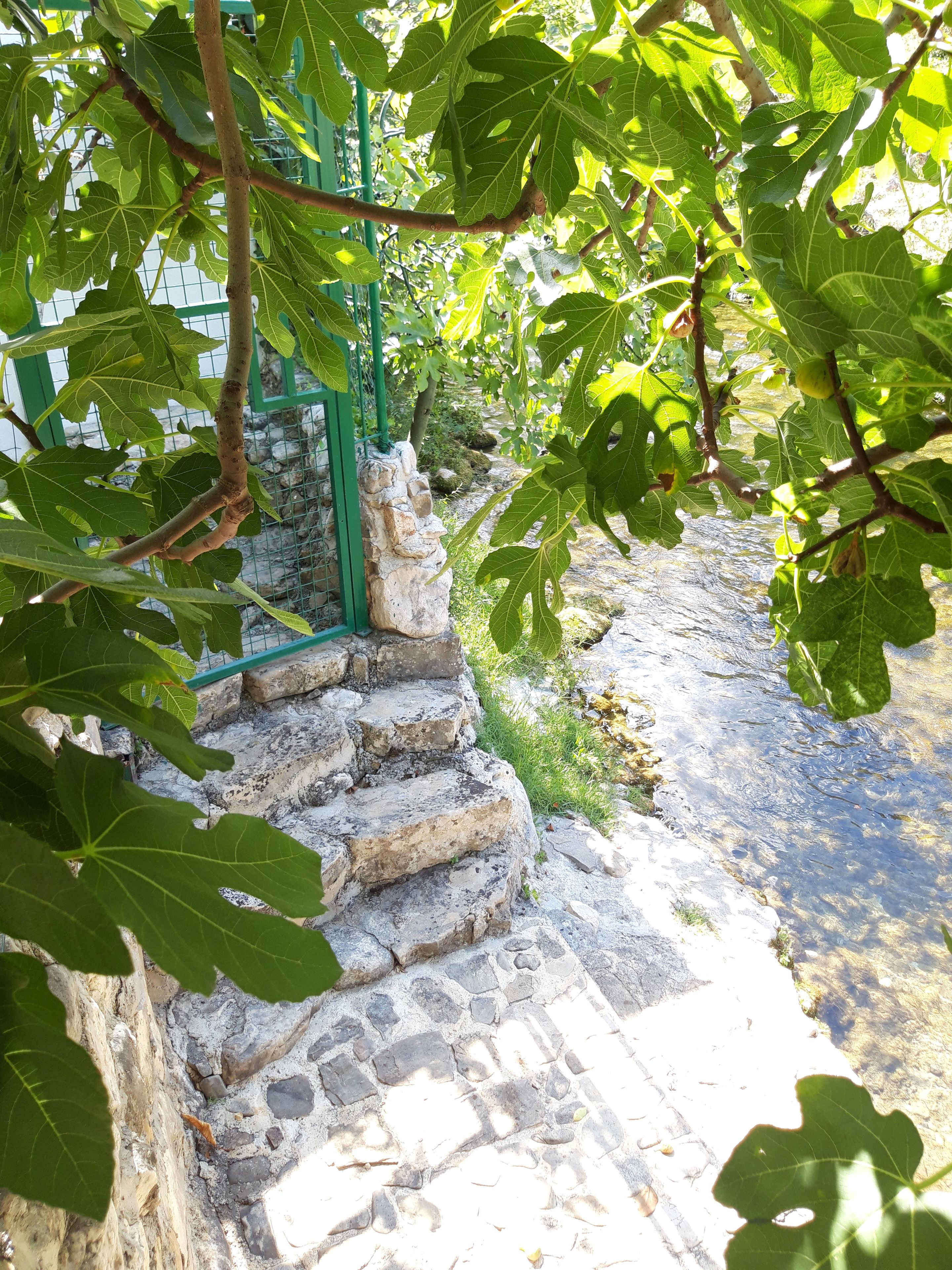 A stone staircase leading to a stone wall, surrounded by greenery and a clear water body.
