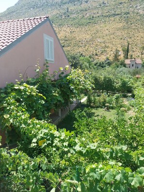 A building with a tiled roof and a garden with grapevines. - Kuča na rjeci s velikim vrtom I pogledom na planine,3km od mora - Split 10km. (Žrnovnica)