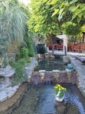 A tranquil garden with a small pond, stone steps, and a wooden bench area. - Kuča na rjeci s velikim vrtom I pogledom na planine,3km od mora - Split 10km. (Žrnovnica)