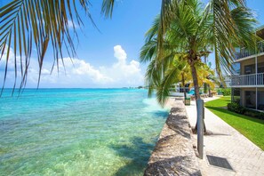 A beachfront hotel with clear turquoise water, palm trees, and a paved walkway. - Beach Living at Plantation Village BLD (George Town)