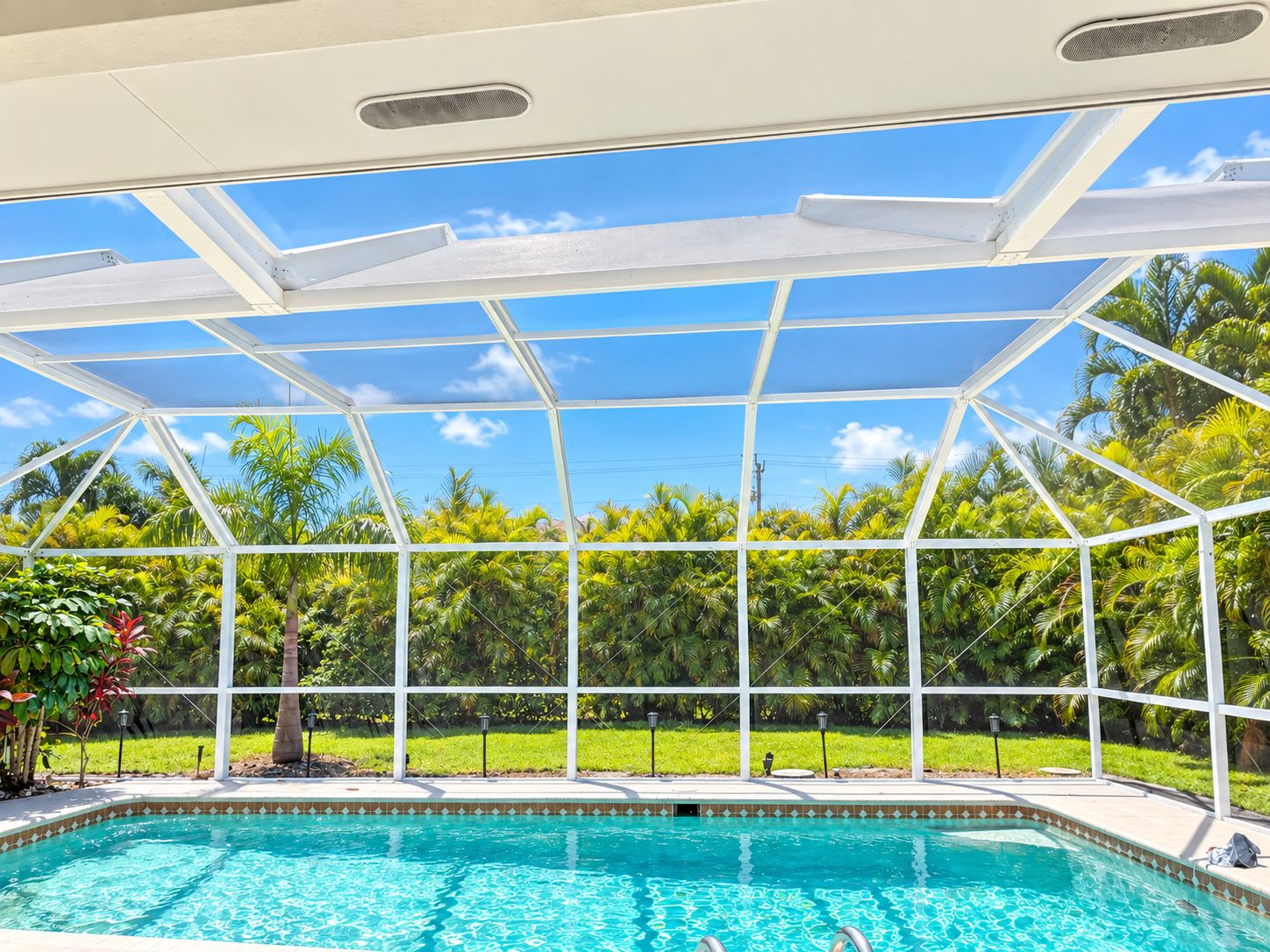 A swimming pool with a glass enclosure, surrounded by lush greenery and palm trees.