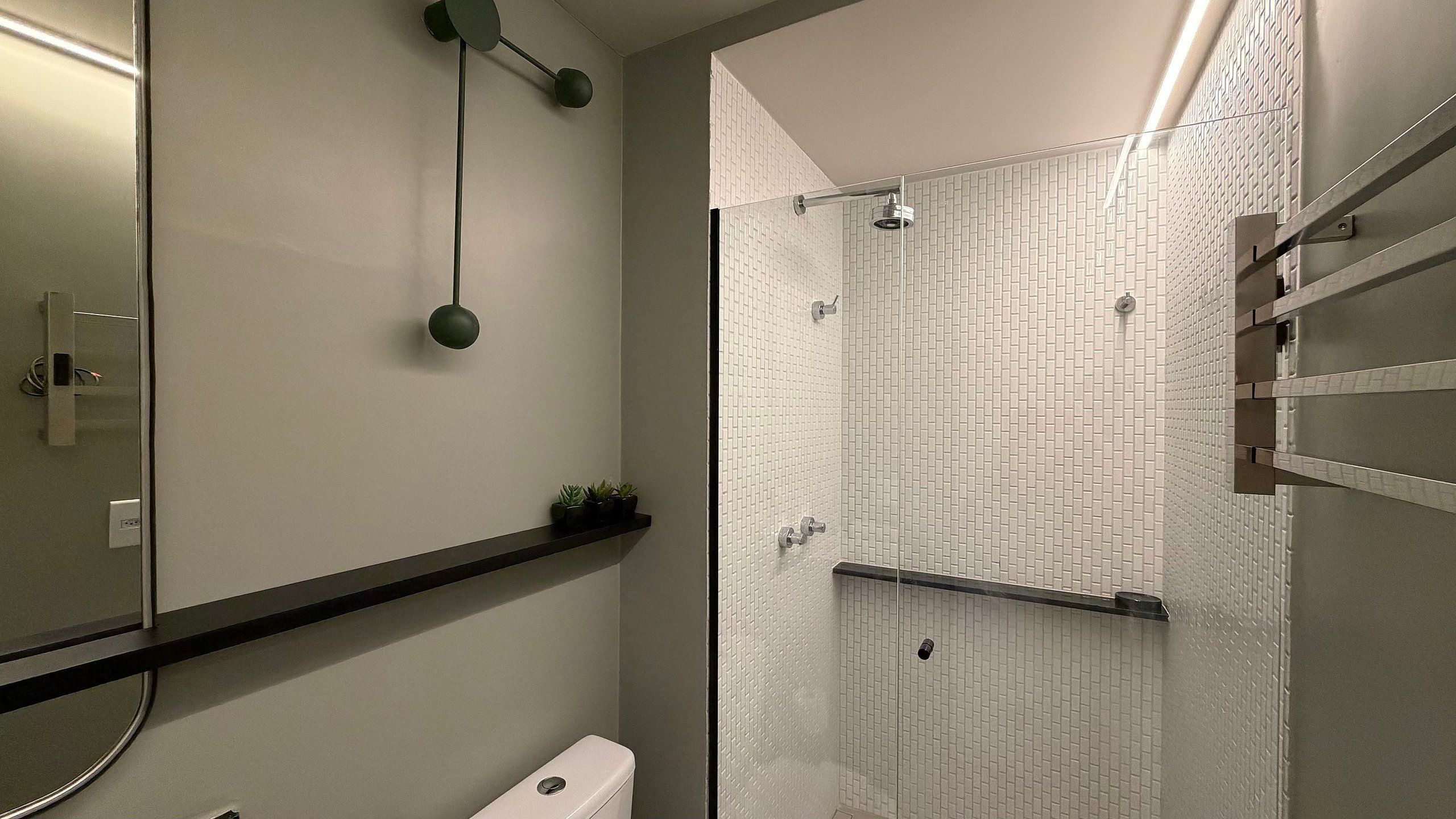 A bathroom with a glass shower enclosure, a toilet, a shelf with plants, and a mirror with a light fixture.