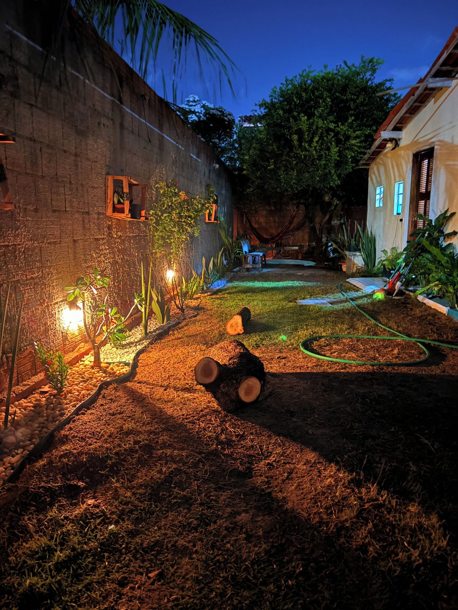 Uma área de jardim bem iluminada com uma rede, troncos de madeira e uma mangueira.