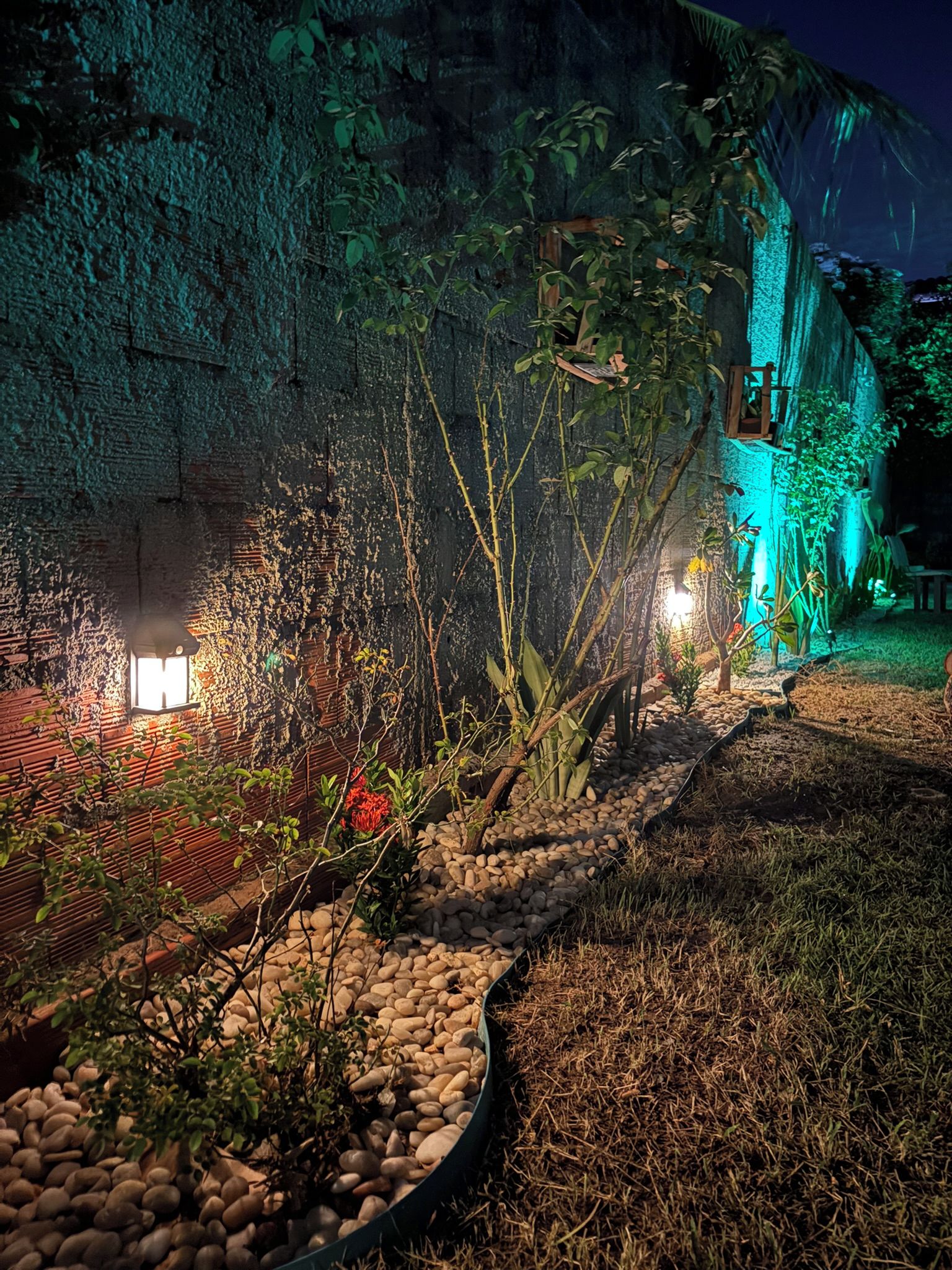 A garden with a pathway, plants, and a brick wall.
