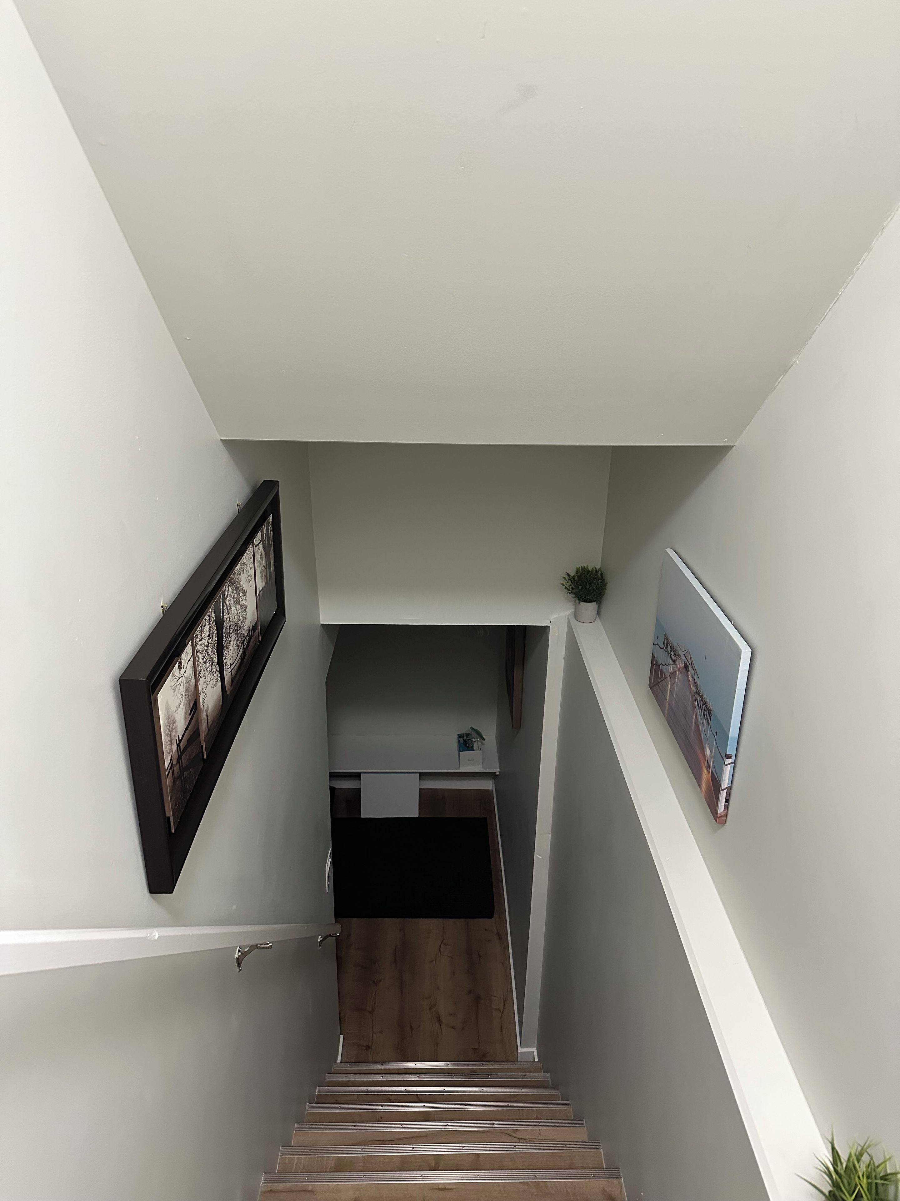 A staircase leading to a landing with a wooden door and a small plant on the landing.