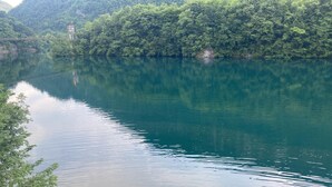 A calm river with dense greenery on the banks.