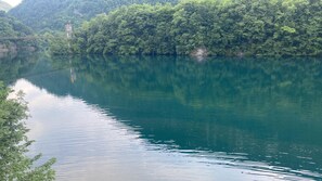 A calm river with dense greenery on the banks.