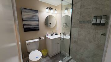 A modern bathroom with a toilet, sink, mirror, and shower.