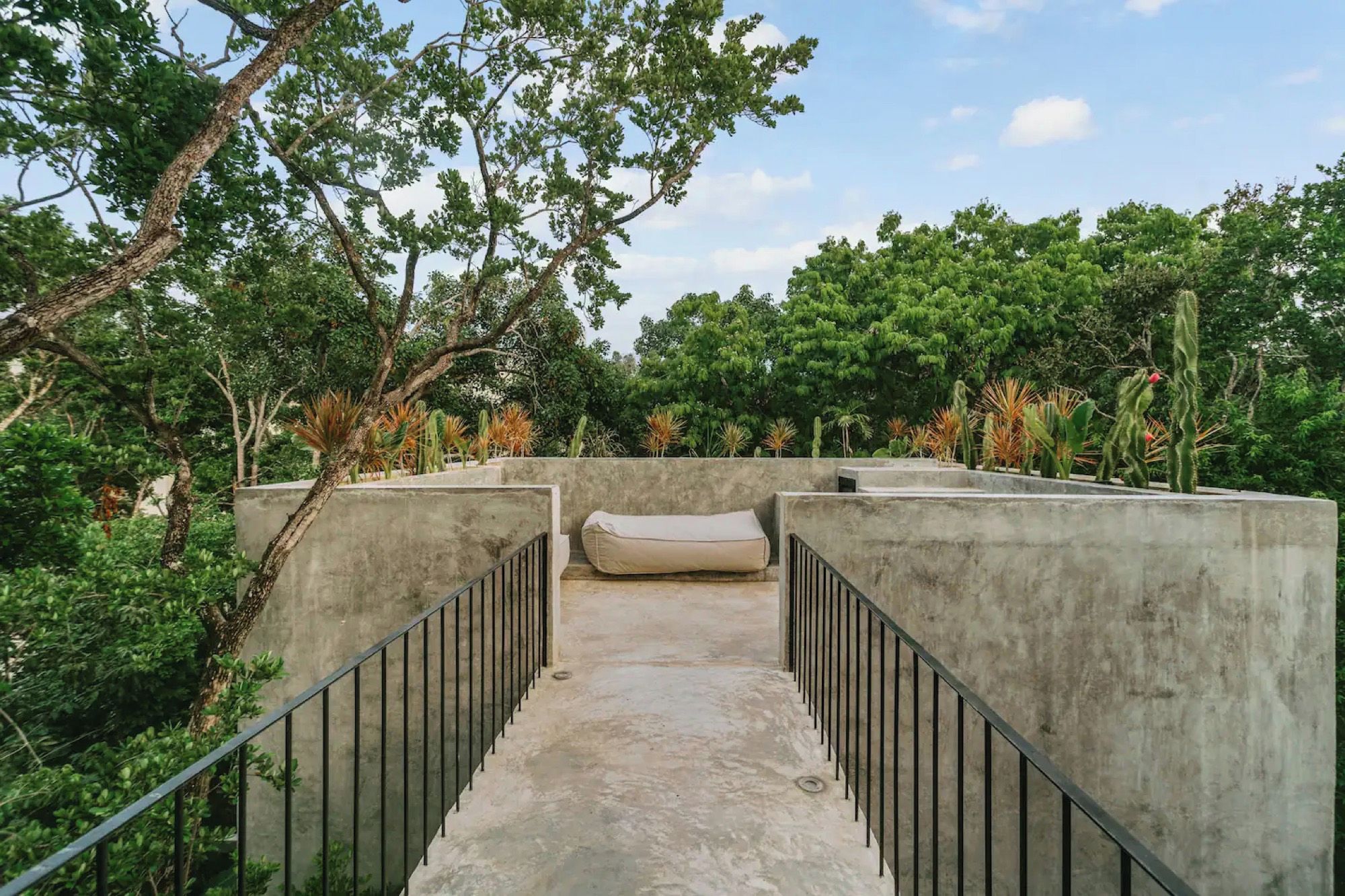 A concrete pathway leading to a seating area with a metal railing, surrounded by greenery and cacti.