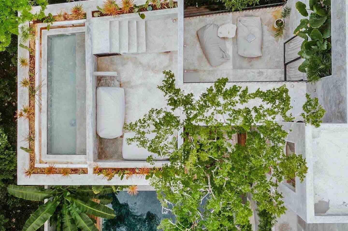 Een dakzwembad met een jacuzzi, zitplaatsen en weelderige begroeiing.
