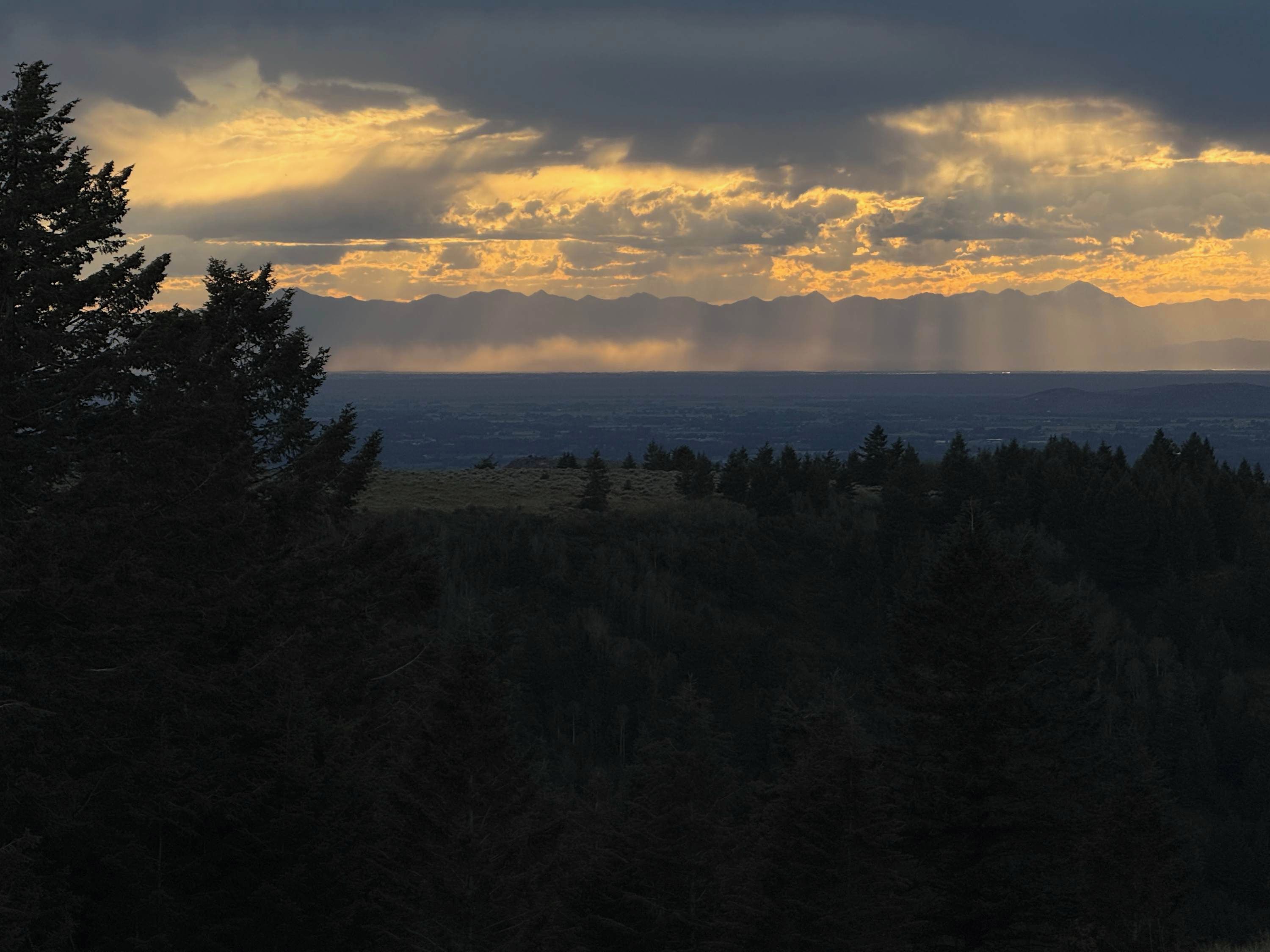 A mountain landscape with trees and a cloudy sky.
