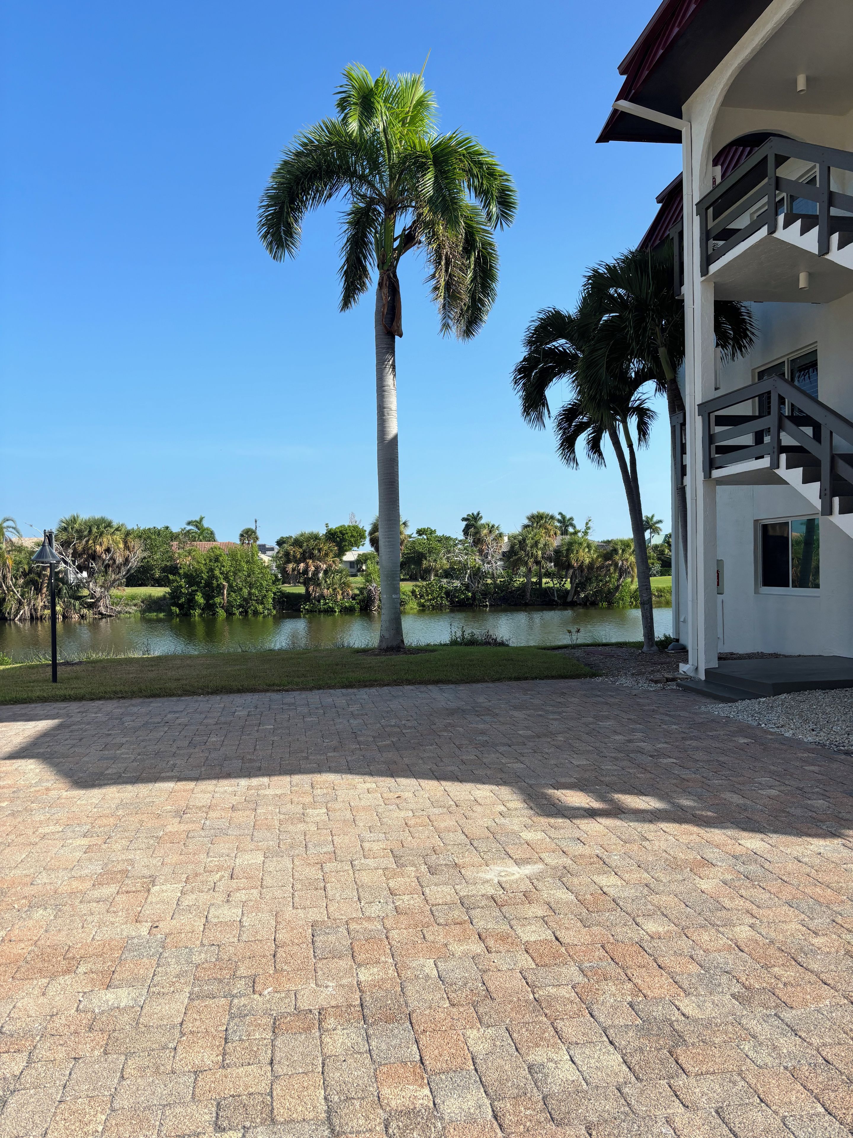 Un área pavimentada con una palmera y un edificio con balcón.