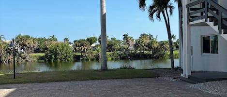 Un área pavimentada con una palmera y un edificio con balcón.