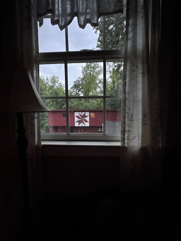 A window with a view of a red building with a white star design, curtains partially drawn, and a glimpse of greenery outside.