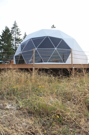 A geodesic dome structure with a wooden deck in front.