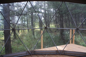A room with a large window offering a view of a dense forest.