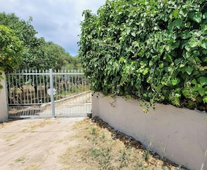 Ein verschlossenes Tor mit einem Metallgitter, einer weißen Mauer und einer Hecke aus Grünpflanzen.