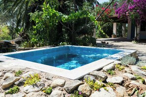 Ein rechteckiger Swimmingpool mit klarem, blauem Wasser, umgeben von Felsen und verschiedenen Pflanzen.
