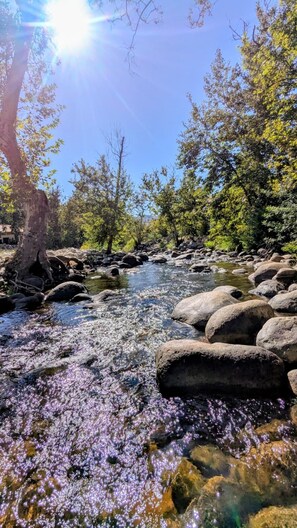 Ein klarer Bach fließt über Felsen, das Sonnenlicht spiegelt sich im Wasser, umgeben von Bäumen.