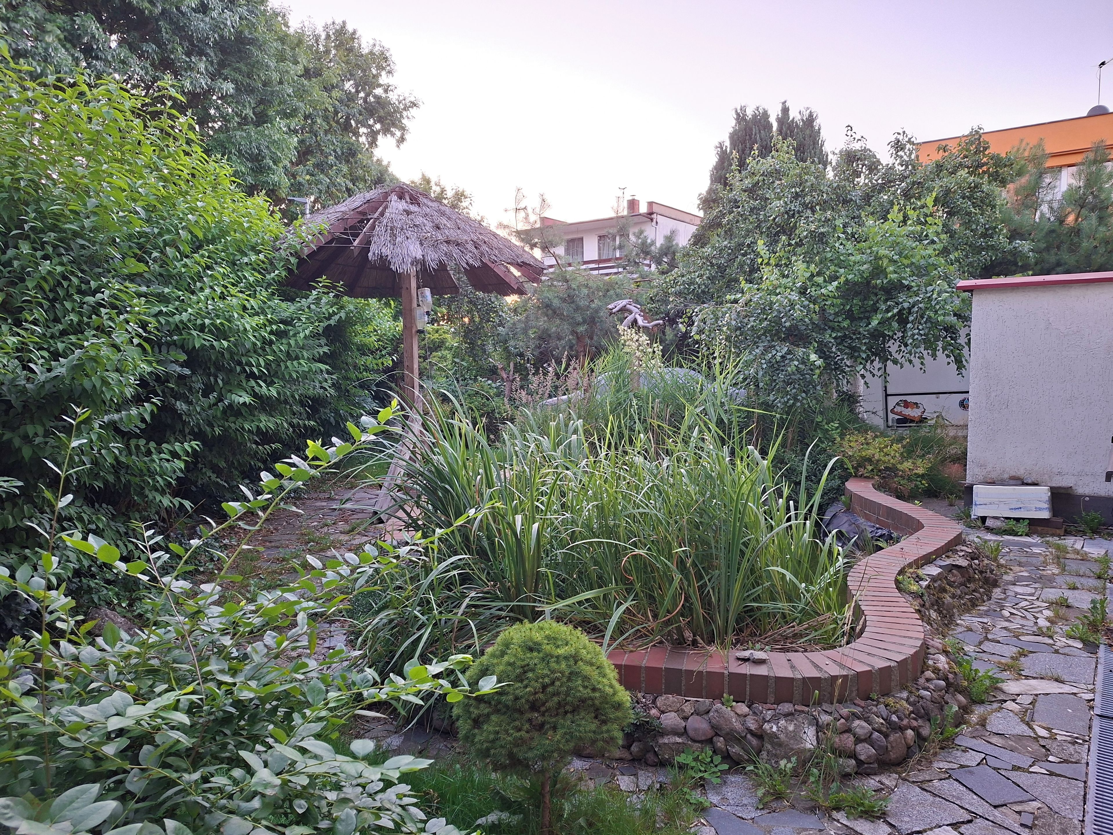 A garden with a variety of plants, a thatched structure, and a stone pathway.