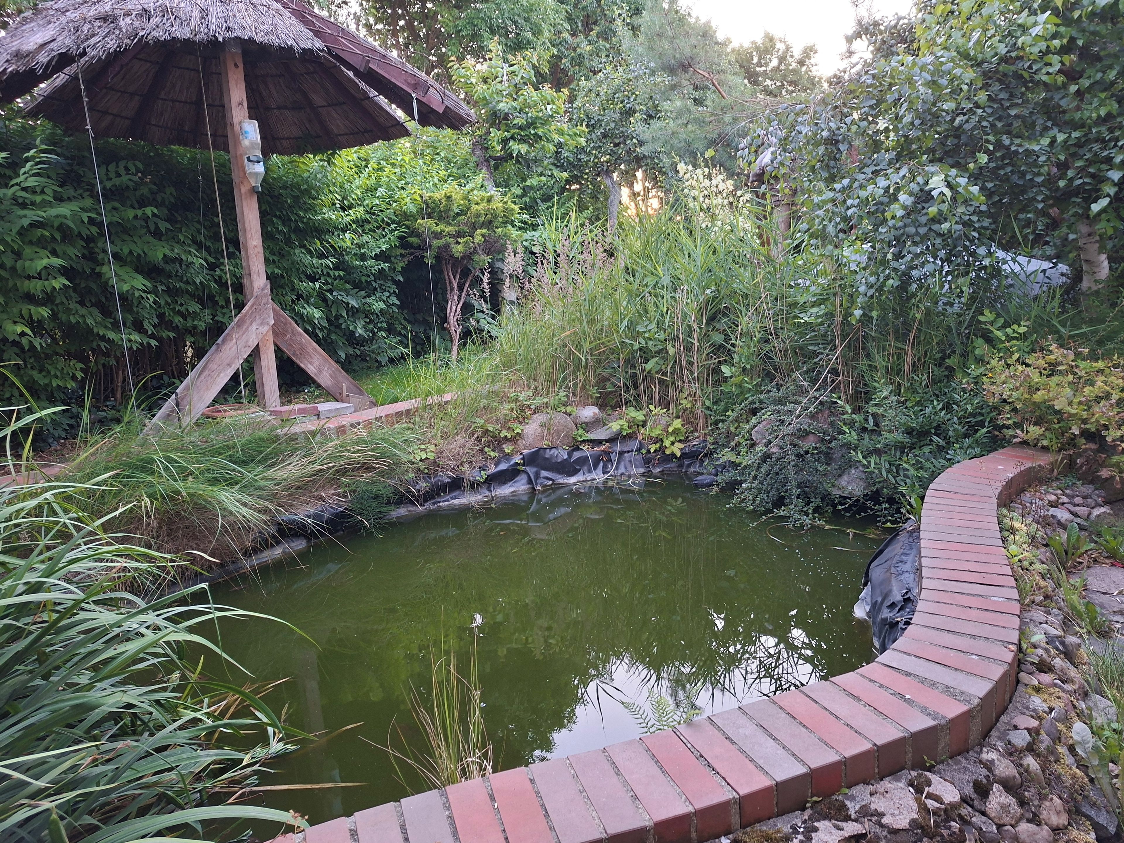 A pond with a brick walkway, surrounded by lush greenery and a thatched structure.