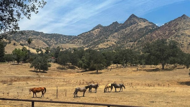 A fenced outdoor area with horses grazing, surrounded by dry grass and trees, with mountains in the background. - Agate Ranch | 2 BD + Views + EV + Walk to River (Three Rivers)