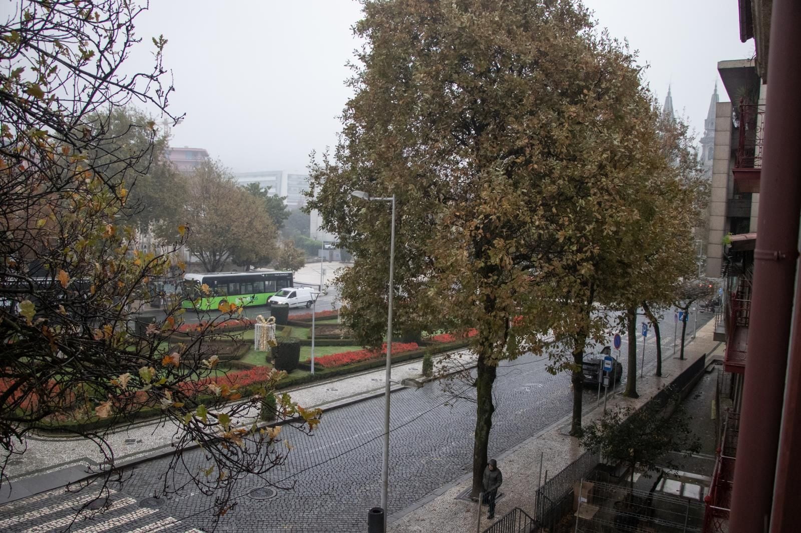 Een stadsstraat met een laan vol bomen, een bus en gebouwen op de achtergrond.