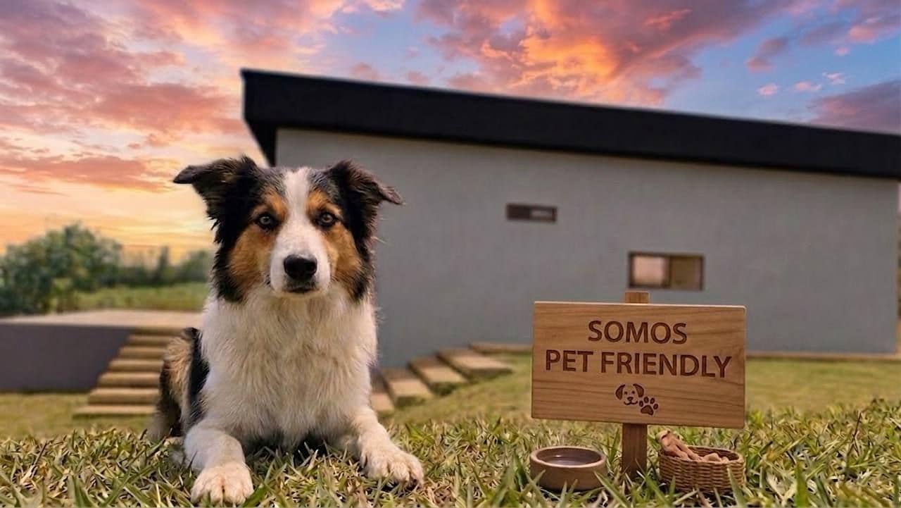 A dog lying on grass with a sign that reads 'SOMOS PET FRIENDLY' and a small basket.