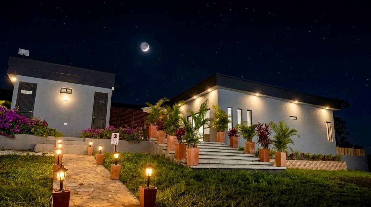 Ein modernes Haus mit einer gut beleuchteten Eingangspartei, einer Treppe und einem Garten mit Topfpflanzen.