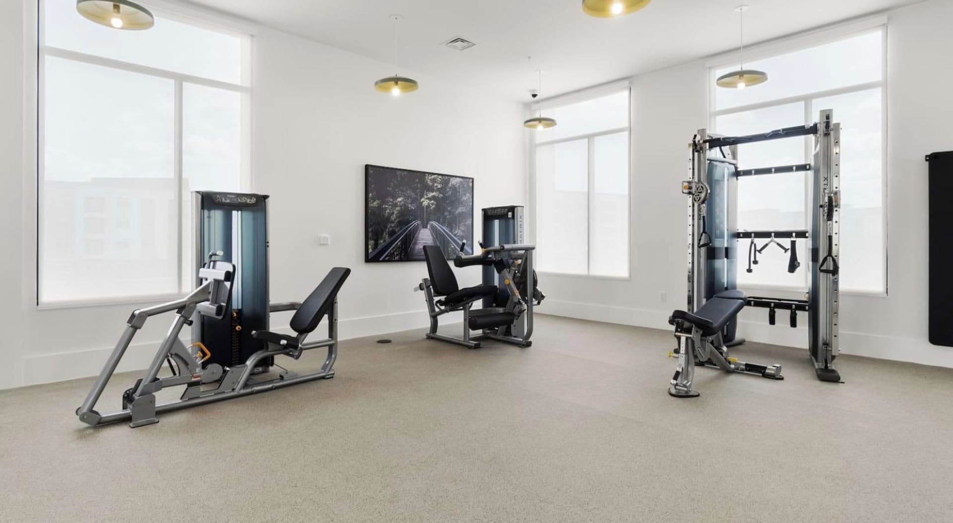 A gym with various exercise equipment, large windows, and a painting on the wall.