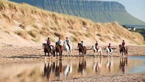 Beach - 2 bedroom appt along the Wild Atlantic Way, 3 min drive from Streedagh Beach. (Grange)