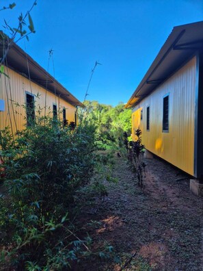 A pathway between two yellow buildings with windows, surrounded by dense vegetation.