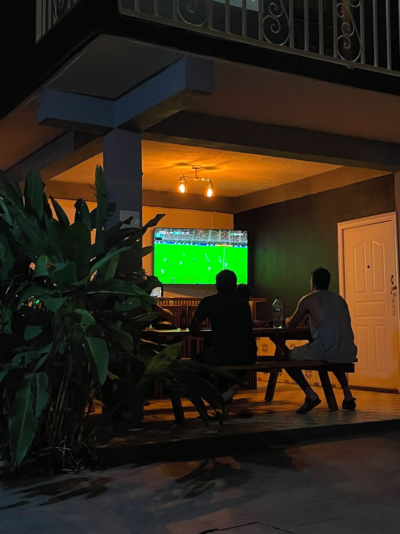 A room with a television displaying a sports game, a dining table, and a potted plant.