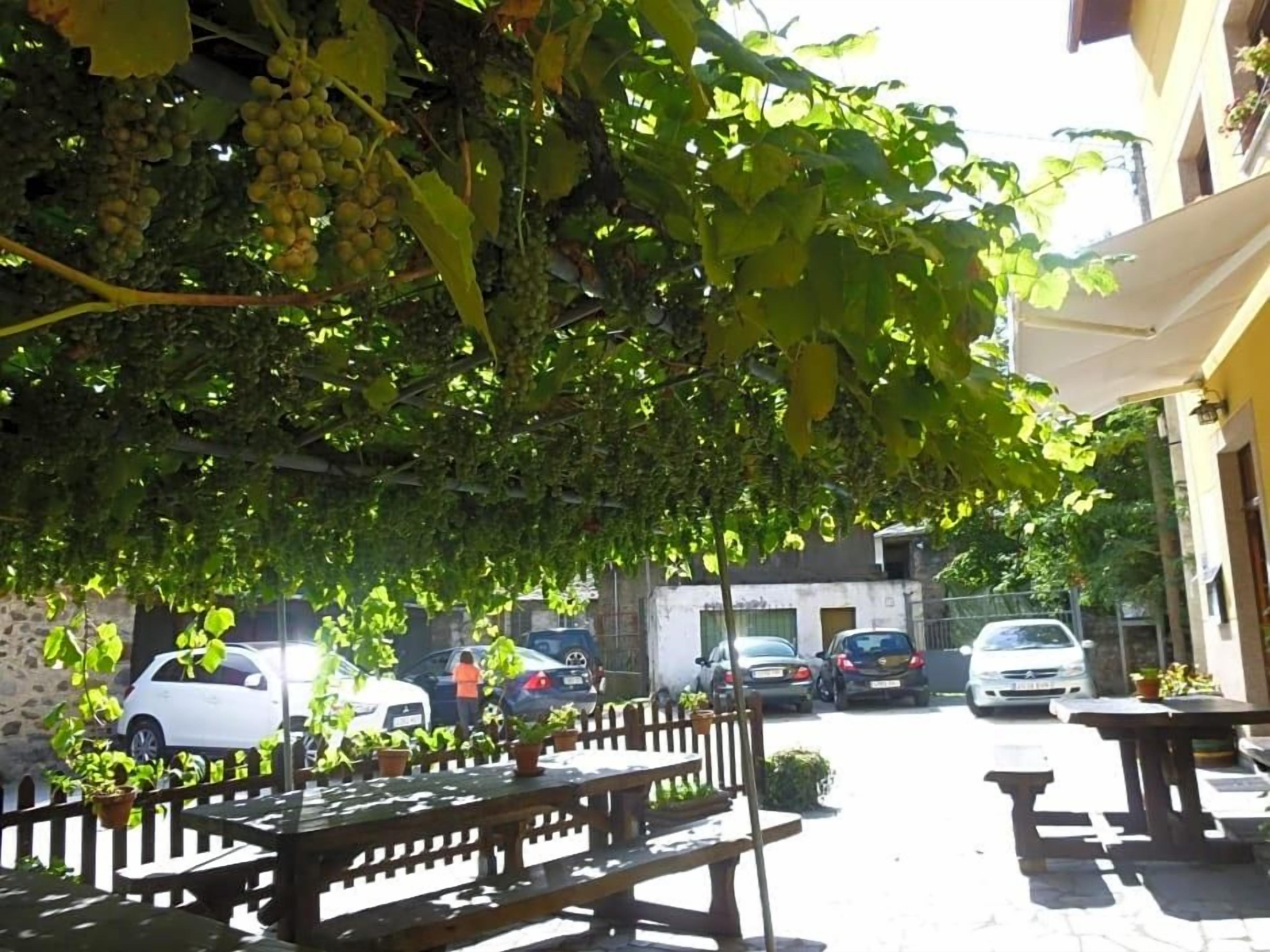 A courtyard with a pergola covered in grapevines, outdoor seating, and parked cars.