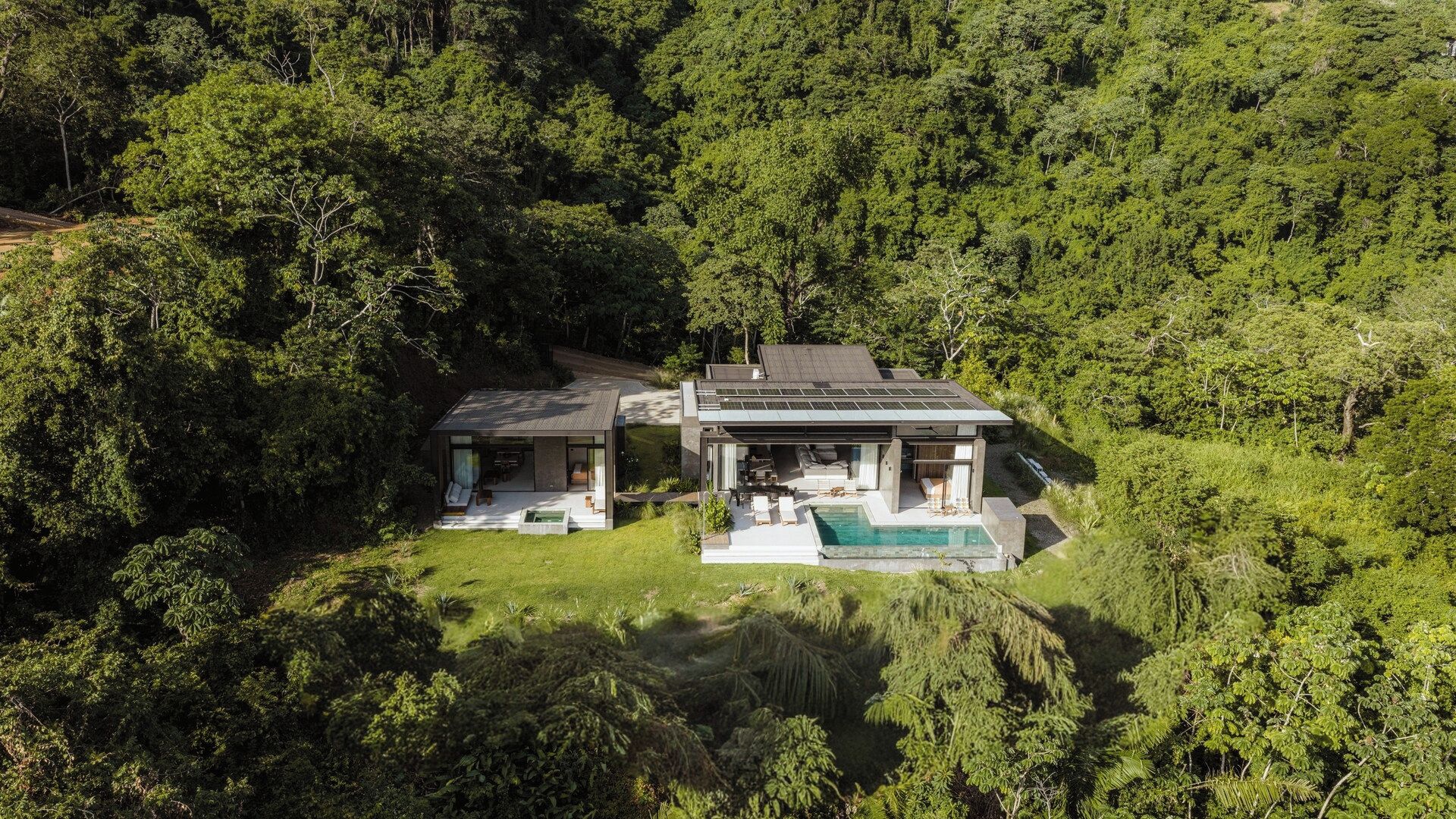 A modern house with a swimming pool surrounded by dense forest.