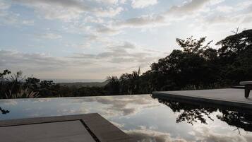 An infinity pool with a clear view of the horizon and surrounding greenery.